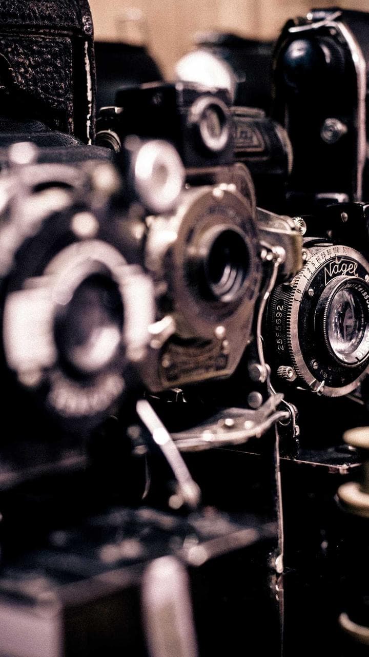 A row of vintage cameras and lenses on a dealer's shelf